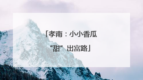 孝南：小小香瓜 “甜”出富路