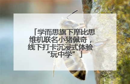 学而思旗下摩比思维机联名小猪佩奇，线下打卡沉浸式体验“玩中学”
