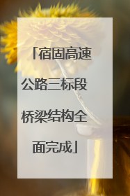 宿固高速公路三标段桥梁结构全面完成