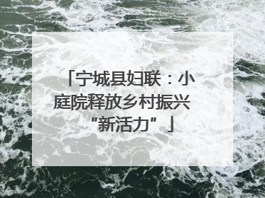 宁城县妇联：小庭院释放乡村振兴“新活力”
