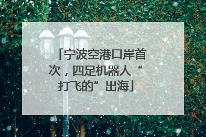 宁波空港口岸首次，四足机器人“打飞的”出海