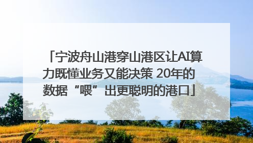 宁波舟山港穿山港区让AI算力既懂业务又能决策 20年的数据“喂”出更聪明的港口