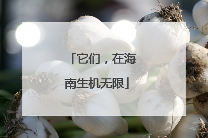 它们，在海南生机无限