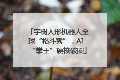 宇树人形机器人全球“格斗秀”，AI“拳王”硬核破圈