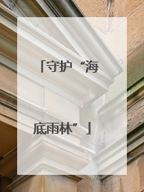 守护“海底雨林”