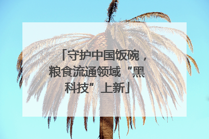 守护中国饭碗，粮食流通领域“黑科技”上新