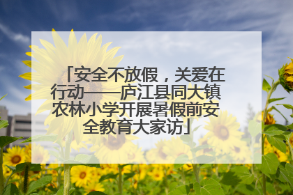 安全不放假，关爱在行动——庐江县同大镇农林小学开展暑假前安全教育大家访