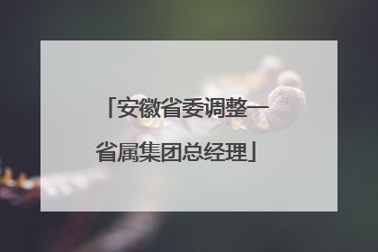 安徽省委调整一省属集团总经理