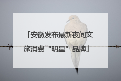 安徽发布最新夜间文旅消费“明星”品牌