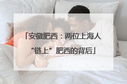 安徽肥西：两位上海人“链上”肥西的背后