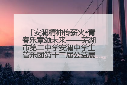 安澜精神传薪火•青春乐章颂未来——芜湖市第二中学安澜中学生管乐团第十二届公益展演圆满举行