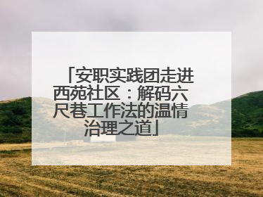 安职实践团走进西苑社区：解码六尺巷工作法的温情治理之道