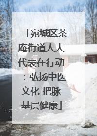 宛城区茶庵街道人大代表在行动：弘扬中医文化 把脉基层健康