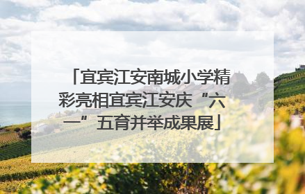 宜宾江安南城小学精彩亮相宜宾江安庆“六一”五育并举成果展