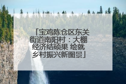 宝鸡陈仓区东关街道南阳村：大棚经济结硕果 绘就乡村振兴新图景