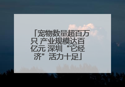 宠物数量超百万只 产业规模达百亿元 深圳“它经济”活力十足
