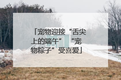 宠物迎接“舌尖上的端午” “宠物粽子”受喜爱