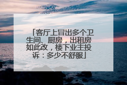客厅上冒出多个卫生间、厨房，出租房如此改，楼下业主投诉：多少不舒服