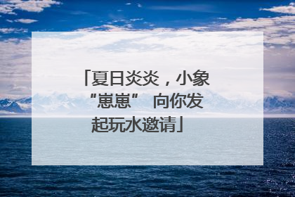 夏日炎炎，小象“崽崽” 向你发起玩水邀请