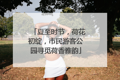 夏至时节，荷花初绽，市民游客公园寻觅荷香雅韵