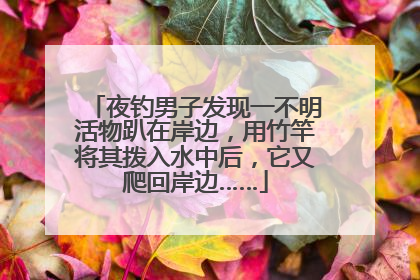 夜钓男子发现一不明活物趴在岸边，用竹竿将其拨入水中后，它又爬回岸边……