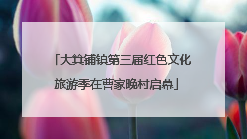 大箕铺镇第三届红色文化旅游季在曹家晚村启幕