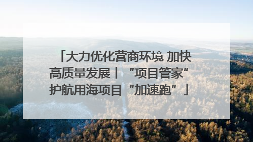 大力优化营商环境 加快高质量发展丨“项目管家”护航用海项目“加速跑”