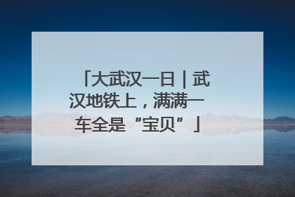 大武汉一日｜武汉地铁上，满满一车全是“宝贝”