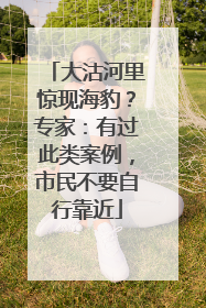 大沽河里惊现海豹？专家：有过此类案例，市民不要自行靠近