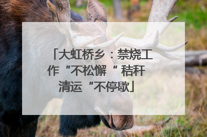 大虹桥乡：禁烧工作“不松懈“ 秸秆清运“不停歇