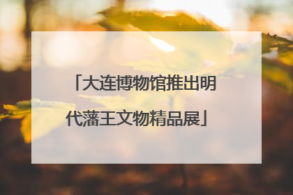 大连博物馆推出明代藩王文物精品展