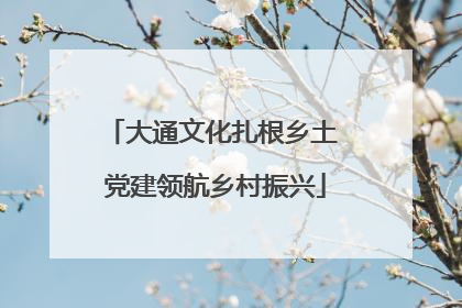 大通文化扎根乡土 党建领航乡村振兴
