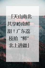 天山南北共享岭南鲜甜！广东荔枝抢“鲜”北上进疆
