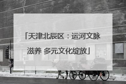 天津北辰区：运河文脉滋养 多元文化绽放