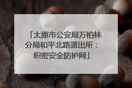 太原市公安局万柏林分局和平北路派出所：织密安全防护网