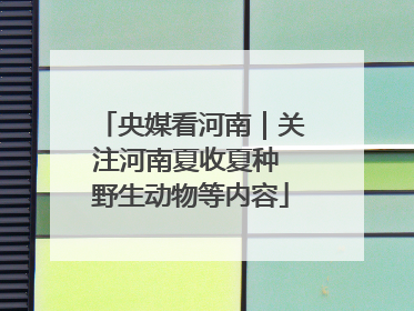 央媒看河南｜关注河南夏收夏种 野生动物等内容
