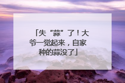 失“蒜”了！大爷一觉起来，自家种的蒜没了