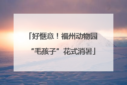 好惬意！福州动物园“毛孩子”花式消暑