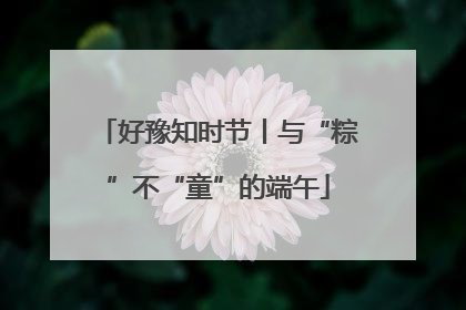 好豫知时节丨与“粽”不“童”的端午