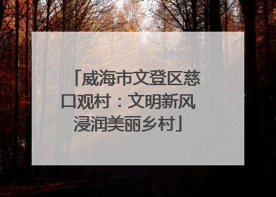 威海市文登区慈口观村：文明新风浸润美丽乡村