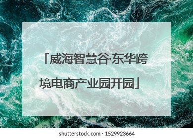 威海智慧谷·东华跨境电商产业园开园