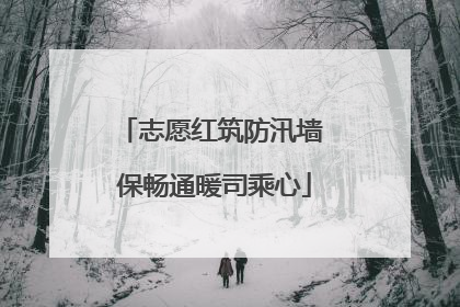 志愿红筑防汛墙 保畅通暖司乘心