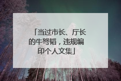 当过市长、厅长的牛弩韬，违规编印个人文集
