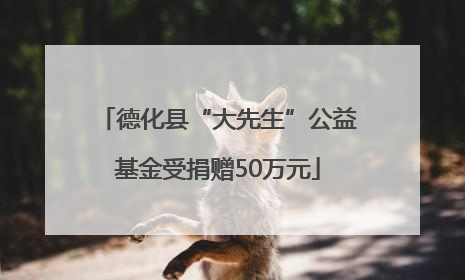 德化县“大先生”公益基金受捐赠50万元