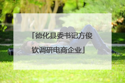 德化县委书记方俊钦调研电商企业