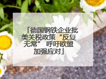 德国钢铁企业批美关税政策“反复无常” 呼吁欧盟加强应对