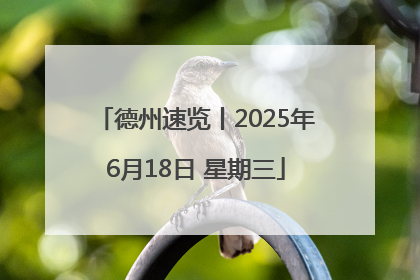 德州速览丨2025年6月18日 星期三