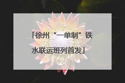 徐州“一单制”铁水联运班列首发