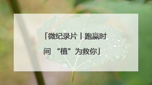 微纪录片丨跑赢时间 “植”为救你