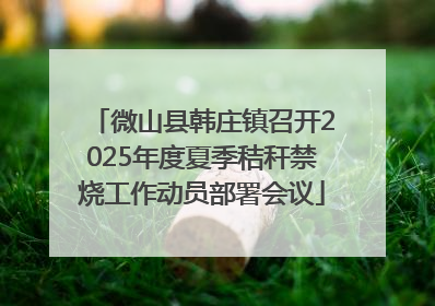 微山县韩庄镇召开2025年度夏季秸秆禁烧工作动员部署会议